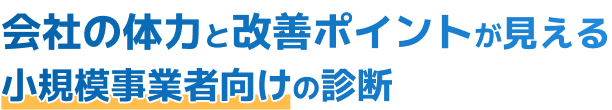 会社の体力と改善ポイントが見える小規模事業者向けの診断